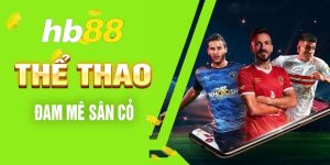 Tại sao Thể Thao Hb88 lại thu hút đông đảo người dùng