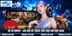 Đá Gà MM99 - Sàn Đấu Kê Thách Thức Mọi Giới Hạn 2026