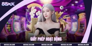giay-phep-hoat-dong